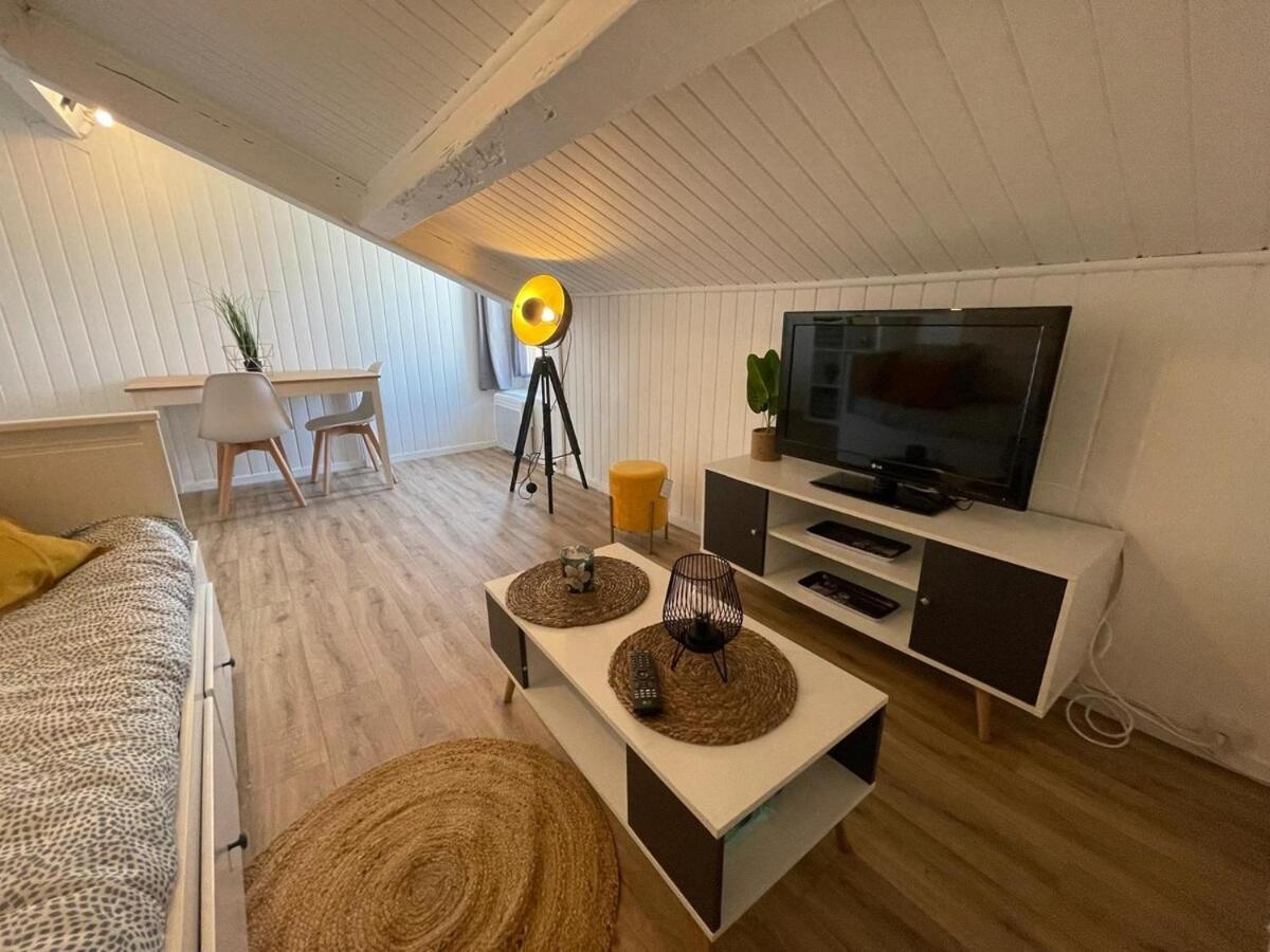 Appartement Cosy, Proche De La Gare, Centre *